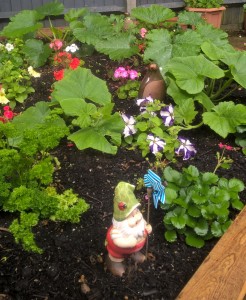 Community Gardening 