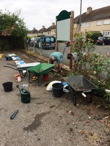 Volunteering Gardening Days 2017