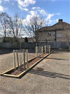Garden Project morning