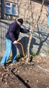 Garden project