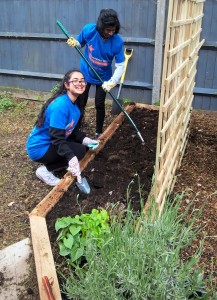 Garden project